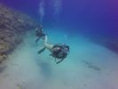 Hawaii Scuba divng 66