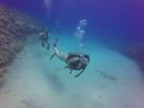 Hawaii Scuba divng 67