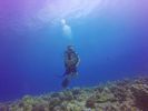 Hawaii Scuba divng 68