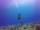 Hawaii Scuba divng 69