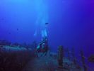 Hawaii Scuba divng 06