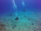 Hawaii Scuba divng 73