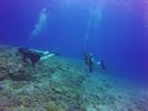 Hawaii Scuba divng 76