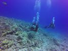 Hawaii Scuba divng 77