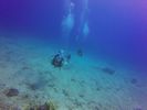 Hawaii Scuba divng 80