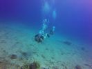 Hawaii Scuba divng 81