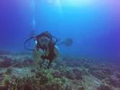 Hawaii Scuba divng 82