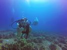 Hawaii Scuba divng 83