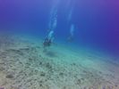 Hawaii Scuba divng 84