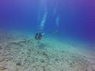 Hawaii Scuba divng 85