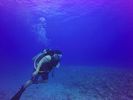 Hawaii Scuba divng 10