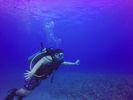 Hawaii Scuba divng 11