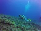 Hawaii Scuba divng 12