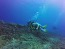 Hawaii Scuba divng 13