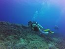 Hawaii Scuba divng 14