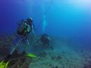 Hawaii Scuba divng 17