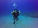 Hawaii Scuba divng 23