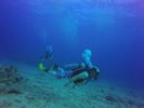 Hawaii Scuba divng 30