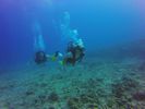 Hawaii Scuba divng 31