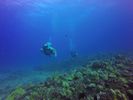 Hawaii Scuba divng 33