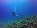 Hawaii Scuba divng 34