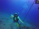 Hawaii Scuba divng 36