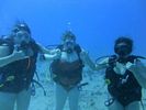 Hawaii Scuba divng 13