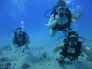 Hawaii Scuba divng 14