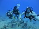 Hawaii Scuba divng 16