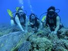 Hawaii Scuba divng 20