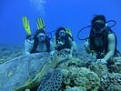 Hawaii Scuba divng 21