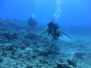 Hawaii Scuba divng 23