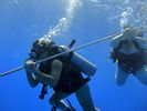 Hawaii Scuba divng 25