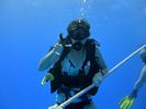 Hawaii Scuba divng 26