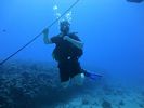 Hawaii Scuba divng 29