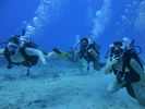 Hawaii Scuba divng 35