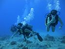 Hawaii Scuba divng 36