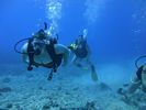 Hawaii Scuba divng 37