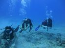 Hawaii Scuba divng 38