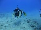 Hawaii Scuba divng 44