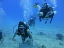 Hawaii Scuba divng 45