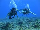 Hawaii Scuba divng 48