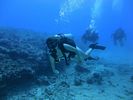 Hawaii Scuba divng 49