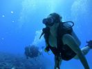 Hawaii Scuba divng 51