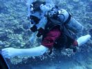 Hawaii Scuba divng 52