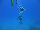 Hawaii Scuba divng 54