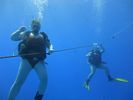 Hawaii Scuba divng 09