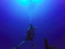 Hawaii Scuba divng 15