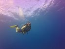 Hawaii Scuba divng 18