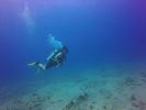 Hawaii Scuba divng 19